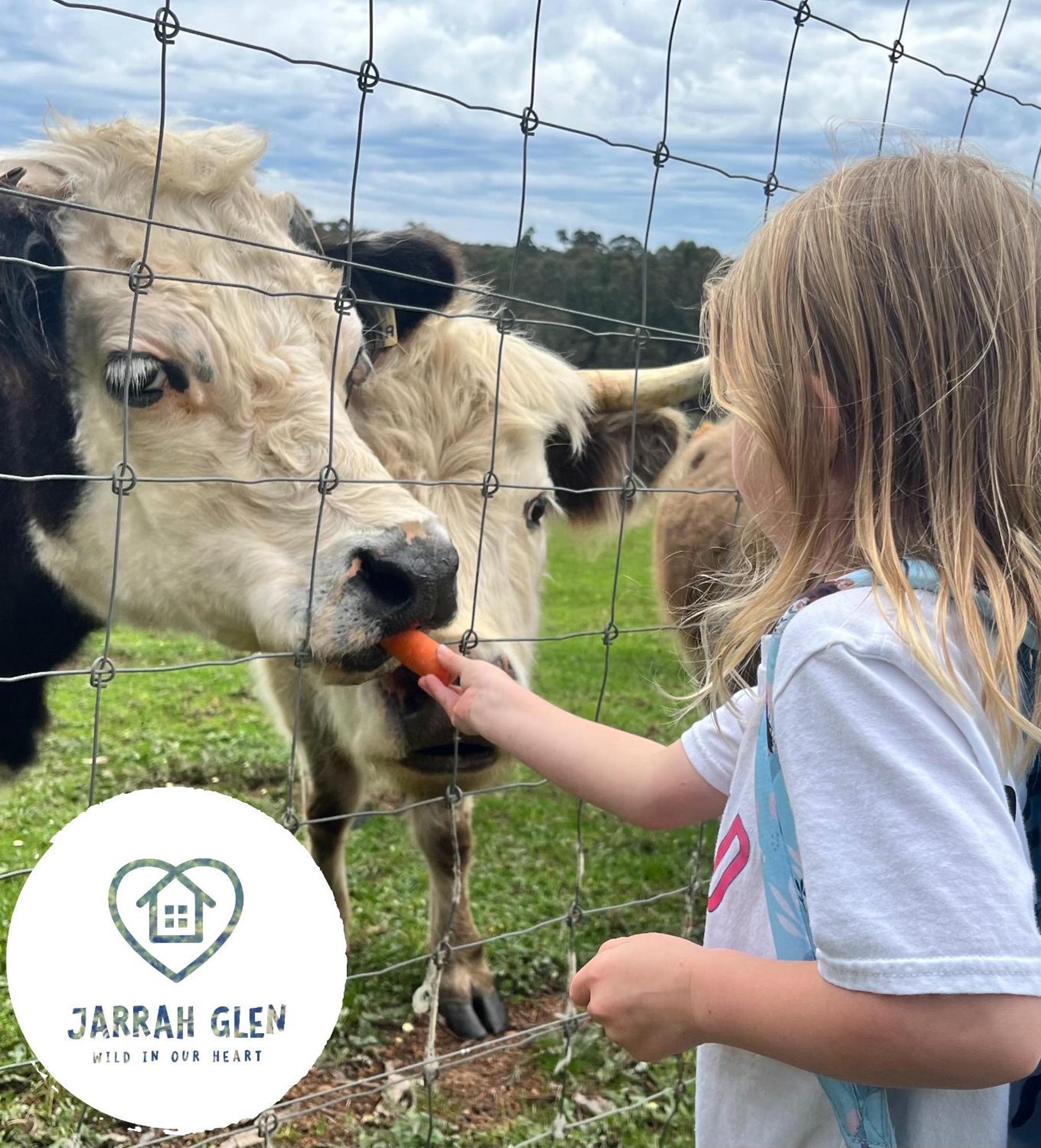 Jarrah Glen Cabins Nannup Buitenkant foto