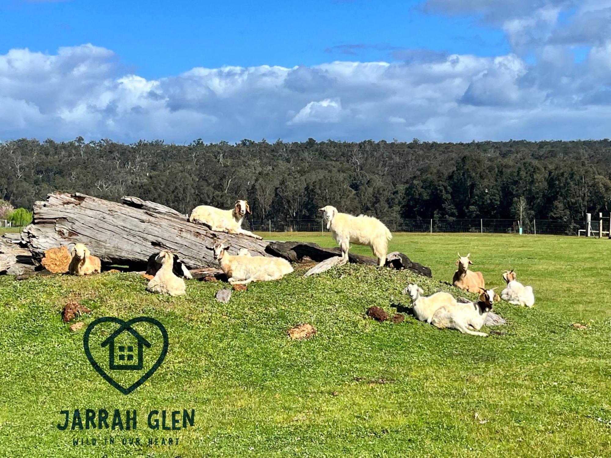 Jarrah Glen Cabins Nannup Buitenkant foto