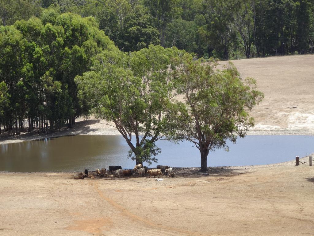 Jarrah Glen Cabins Nannup Buitenkant foto